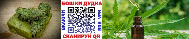 Купить где  Нелидово  Canna-Cookies конопля 
