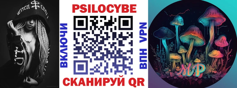 Купить  Нелидово  Галлюциногенные грибы Psilocybe 