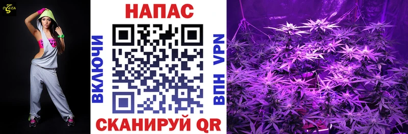 Купить закладки  Нелидово  Марихуана White Widow 